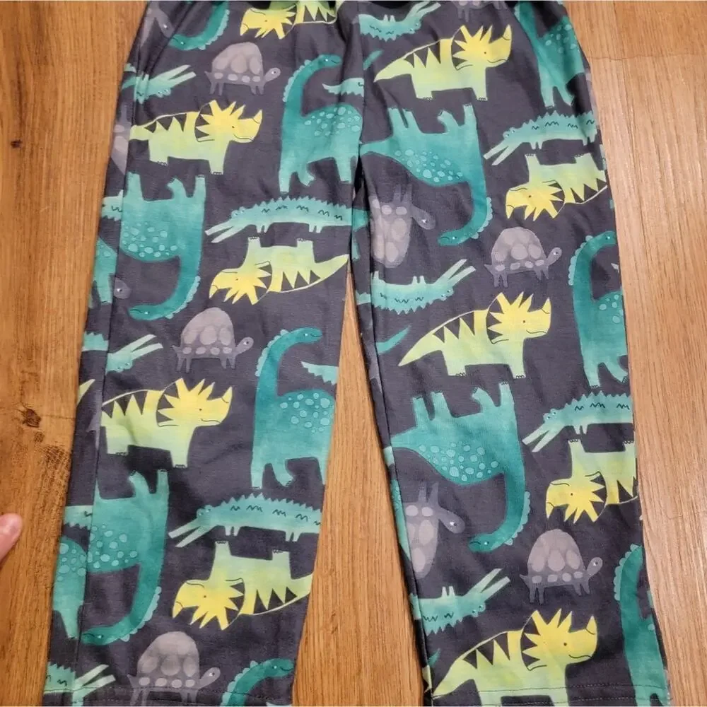 Boys 5t Two Piece Carter Dinosaur Pajamas